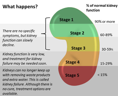 CKDStagesGraphiC